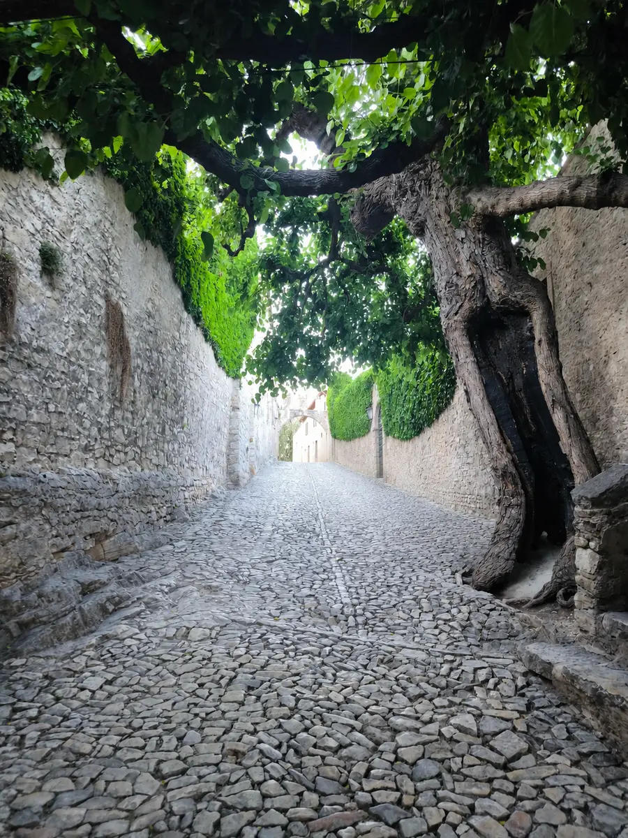 Stone lane leading toward Punta San Vigilio near Lake Garda