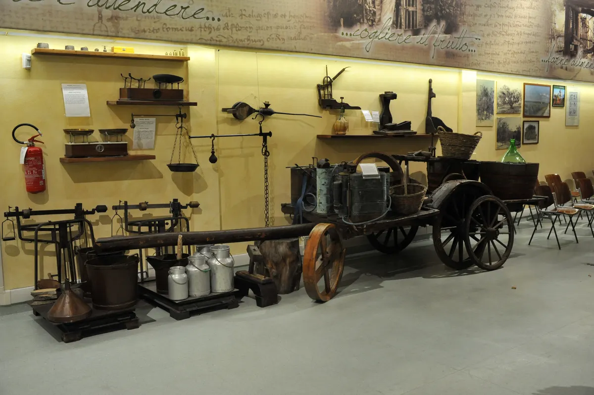 Historic olive oil cart and equipment inside the Castaldo Museum at Turri