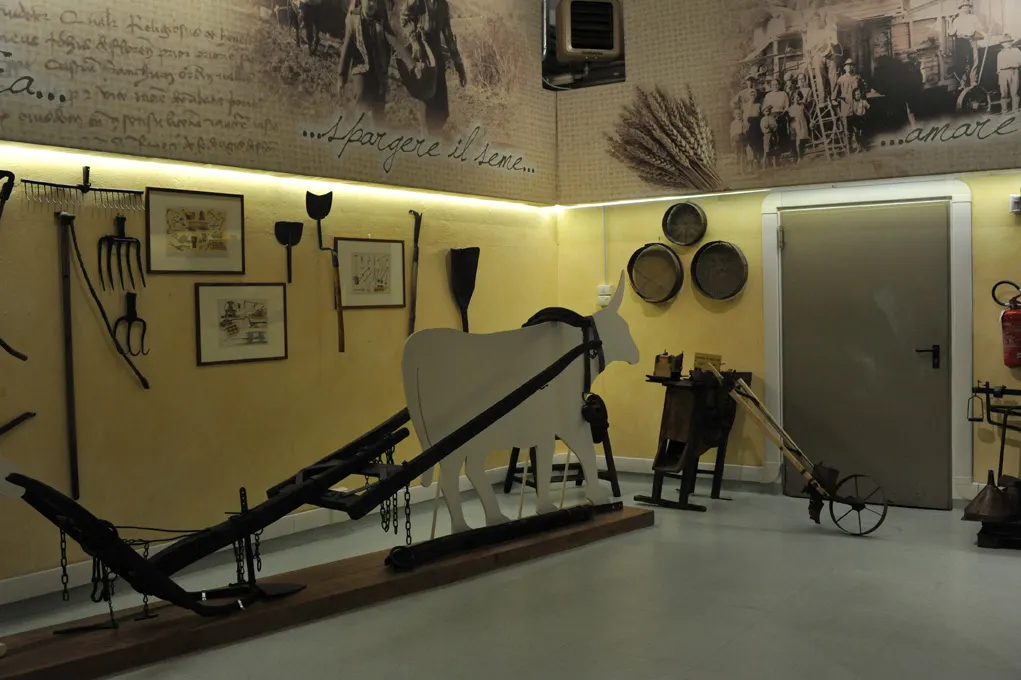 Traditional olive oil tools inside the Castaldo Museum at Turri