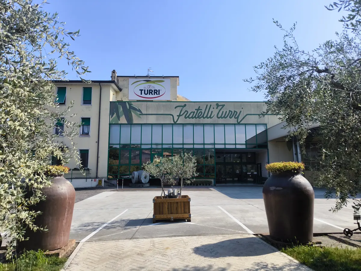 Turri Fratelli olive oil mill in Cavaion Veronese near Bardolino