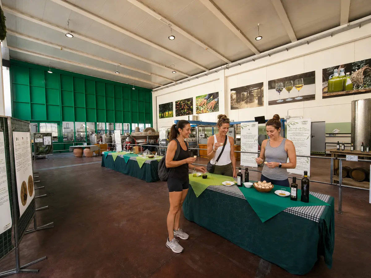 Visitors tasting olive oil inside an olive oil mill near Lake Garda